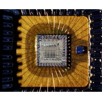 Sochair, Cineálacha, Feidhmchláir agus Treochtaí Tionscail Sceallóga ASIC